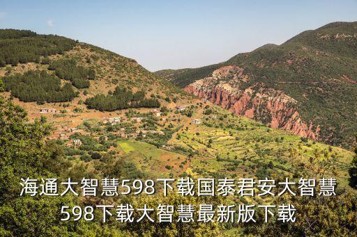 海通大智慧598下载国泰君安大智慧598下载大智慧最新版下载