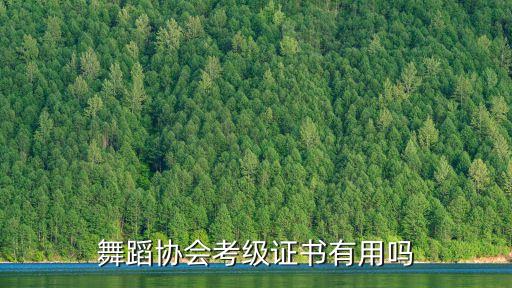 舞蹈协会考级证书有用吗