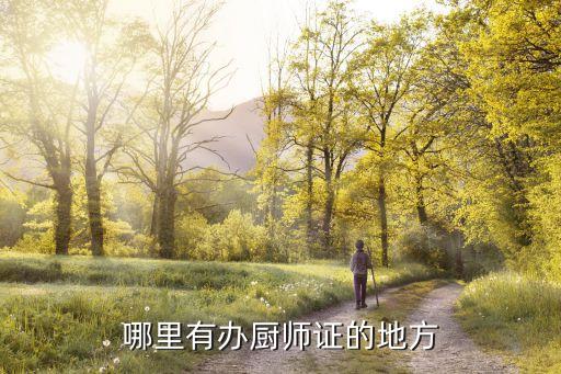 办个厨师证在哪里办，厨师证在哪个部门办理