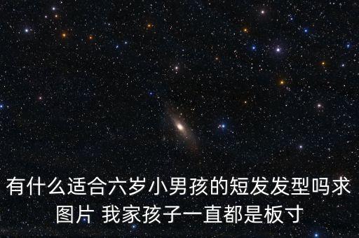 有什么适合六岁小男孩的短发发型吗求图片 我家孩子一直都是板寸