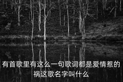 有首歌里有这么一句歌词都是爱情惹的祸这歌名字叫什么
