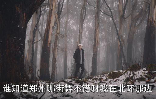 嘻哈帮街舞总部电话，谁知道郑州哪街舞不错呀我在北环那边