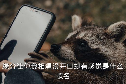 缘分让你我相遇没开口却有感觉是什么歌名