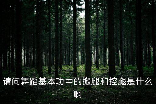 舞蹈基本功腿柱叫什么，舞蹈里的基本功耗腿是指什么