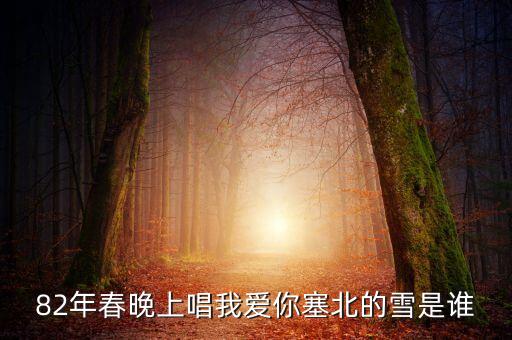 舞蹈我爱你塞北的雪，王学真老师跳的舞蹈我爱你塞北的雪是属于什么类型的舞蹈  搜