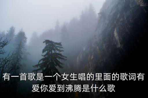 有一首歌是一个女生唱的里面的歌词有爱你爱到沸腾是什么歌