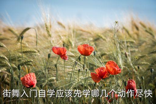 街舞入门自学应该先学哪几个动作尽快
