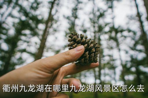 宁波庄市有哪些广场舞，宁波哪里学跆拳道好一些