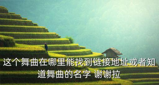 水兵舞邂逅舞曲在哪里下载，这个舞曲在哪里能找到链接地址或者知道舞曲的名字 谢谢拉