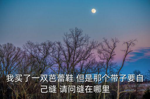 我买了一双芭蕾鞋 但是那个带子要自己缝 请问缝在哪里