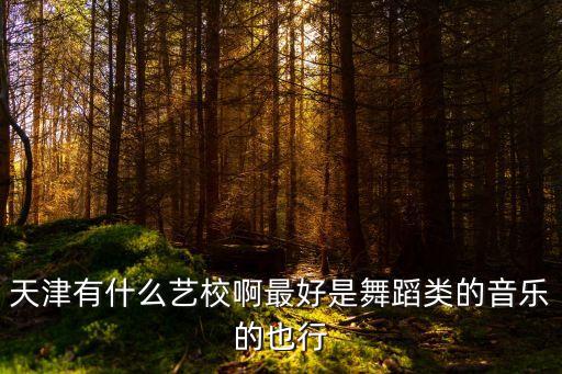 天津有什么艺校啊最好是舞蹈类的音乐的也行
