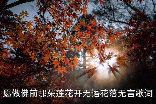 愿做佛前那朵莲花开无语花落无言歌词