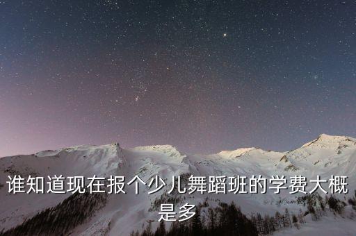 谁知道现在报个少儿舞蹈班的学费大概是多