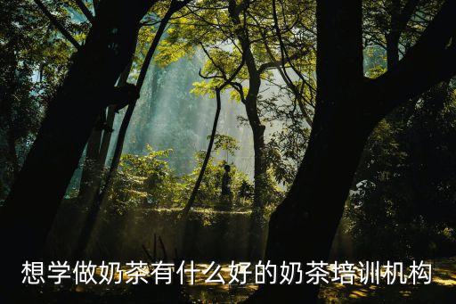 甜点奶茶培训班，深圳奶茶培训哪家好