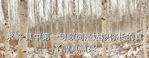 求解 其中第一句歌词是姑娘你长的真丫嚒真漂亮