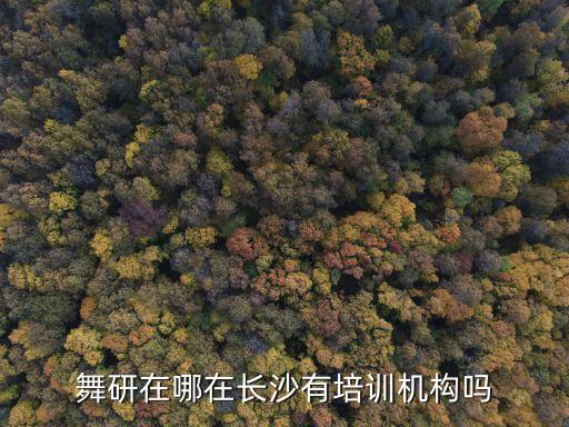舞妍舞蹈，舞研在哪在长沙有培训机构吗