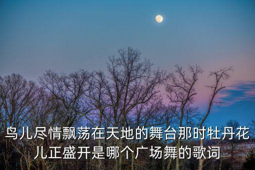 鸟儿尽情飘荡在天地的舞台那时牡丹花儿正盛开是哪个广场舞的歌词