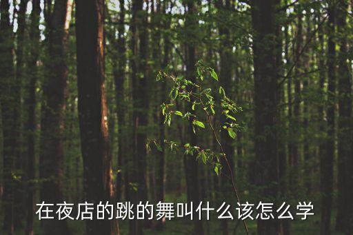 在夜场跳的舞叫什么，在夜店的跳的舞叫什么该怎么学