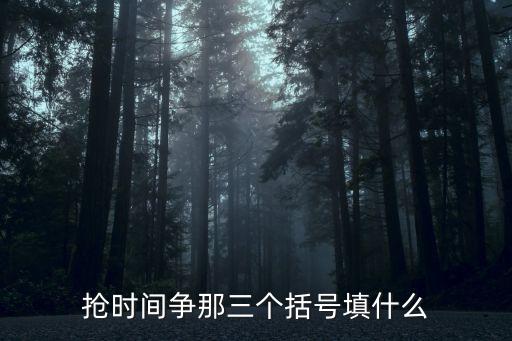 抢时间争那三个括号填什么