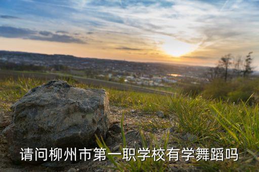 请问柳州市第一职学校有学舞蹈吗