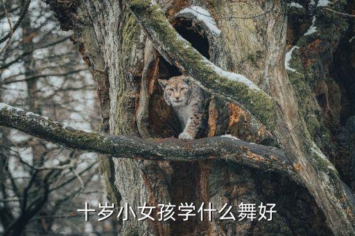 十岁学什么舞蹈练体型，我女儿今年十岁了身体比较柔软但女儿体型不好学什么舞最好呢