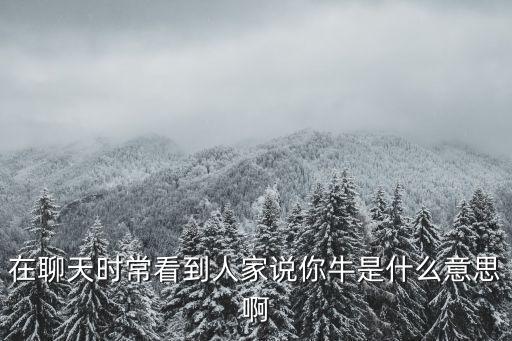 在聊天时常看到人家说你牛是什么意思啊