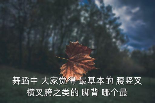 舞蹈中 大家觉得 最基本的 腰竖叉横叉胯之类的 脚背 哪个最