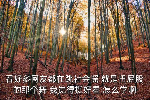 看好多网友都在跳社会摇 就是扭屁股的那个舞 我觉得挺好看 怎么学啊