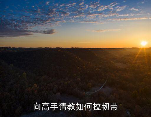 向高手请教如何拉韧带