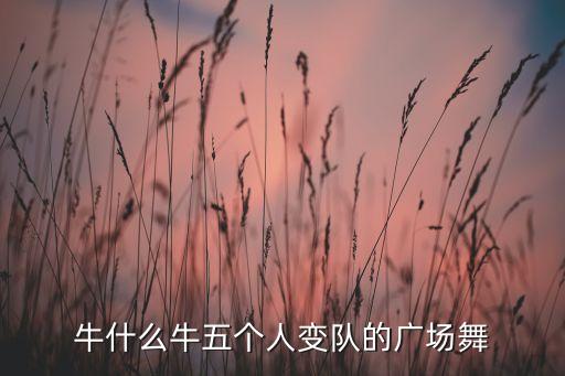 牛什么牛五个人变队的广场舞