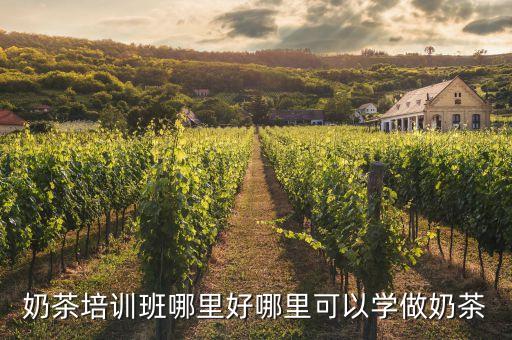 奶茶培训班哪里好哪里可以学做奶茶