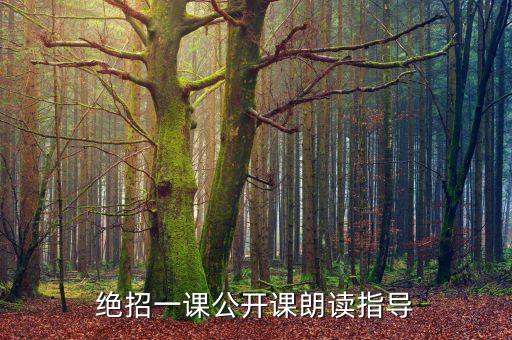绝招一课公开课朗读指导