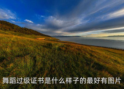 舞蹈过级证书是什么样子的最好有图片