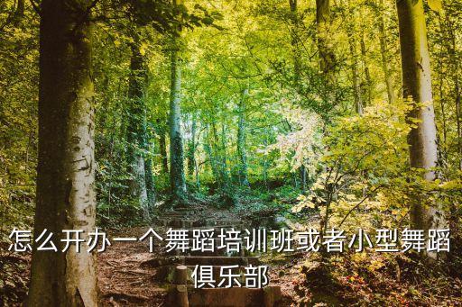 怎么开办一个舞蹈培训班或者小型舞蹈俱乐部