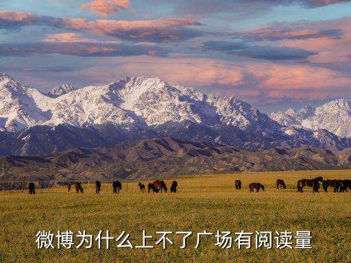 微博为什么上不了广场有阅读量
