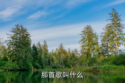那首歌叫什么