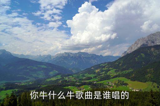 你牛什么牛歌曲是谁唱的