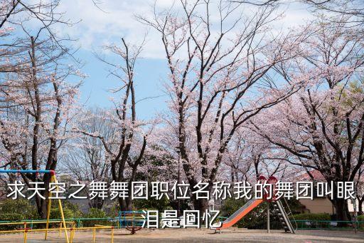 蓝天云广场舞什么回忆，词语搭配xx回忆
