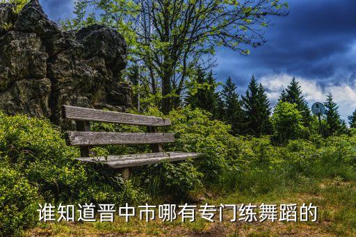 晋中哪里有教成人学舞蹈基本功，谁知道晋中市哪有专门练舞蹈的