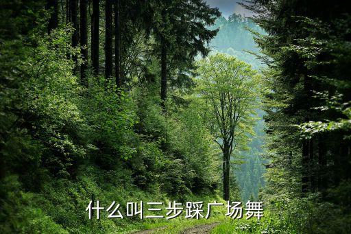 什么叫三步踩广场舞