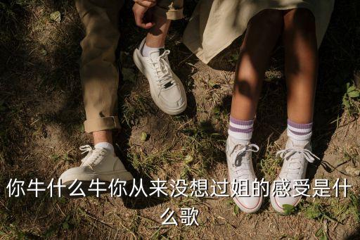 青儿广场你牛什么牛，你牛什么牛歌曲是谁唱的
