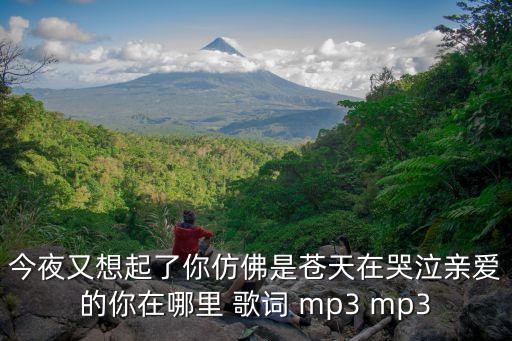 今夜又想起了你仿佛是苍天在哭泣亲爱的你在哪里 歌词 mp3 mp3