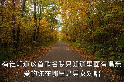 有谁知道这首歌名我只知道里面有唱亲爱的你在哪里是男女对唱