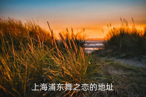 上海浦东舞之恋的地址
