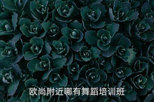欧尚附近哪有舞蹈培训班