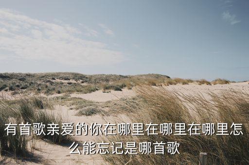 有首歌亲爱的你在哪里在哪里在哪里怎么能忘记是哪首歌