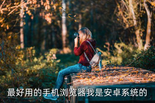 最好用的手机浏览器我是安卓系统的