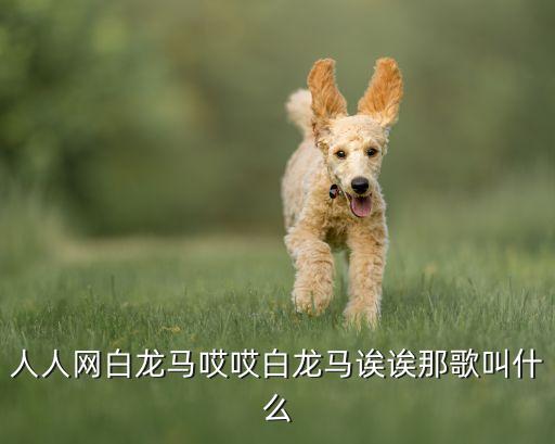 人人网白龙马哎哎白龙马诶诶那歌叫什么