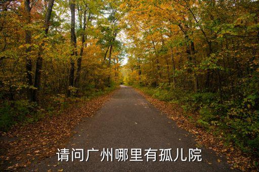 请问广州哪里有孤儿院