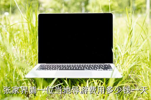张家界请一位当地导游费用多少钱一天